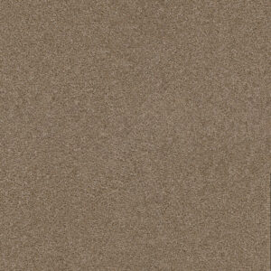 Dreamweaver Carpet Exceptional II Sawgrass Carpet 7404_701