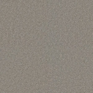 Dreamweaver Carpet Exceptional II Silver Birch Carpet 7404_800
