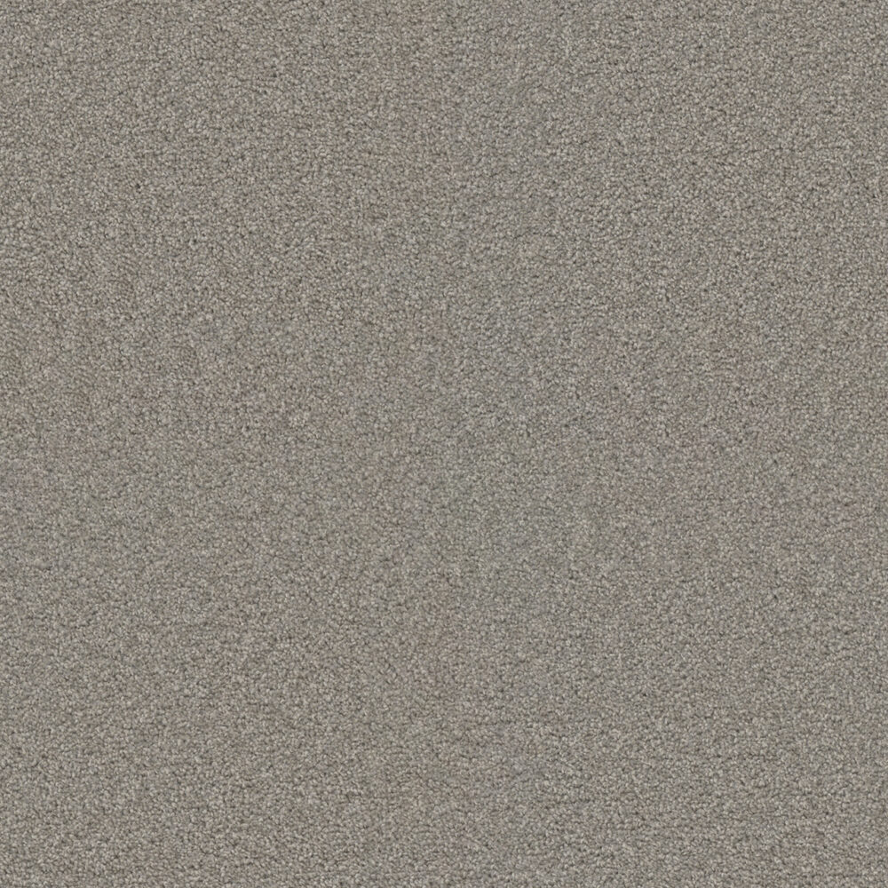 Dreamweaver Carpet Exceptional II Silver Birch Carpet 7404_800
