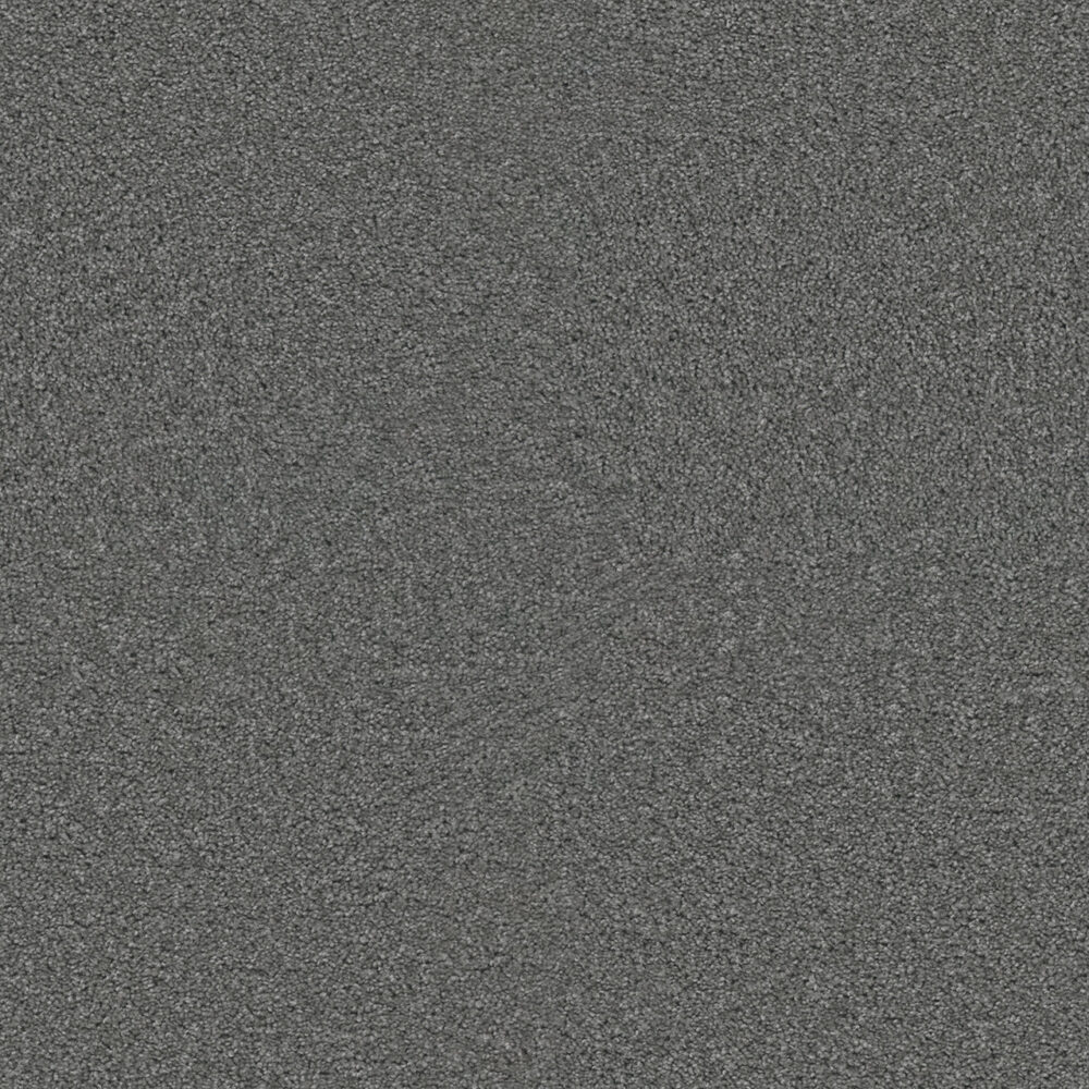 Dreamweaver Carpet Exceptional II Stellar Carpet 7404_938