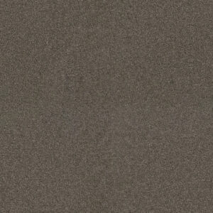 Dreamweaver Carpet Exceptional II Riverbed Carpet 7404_955