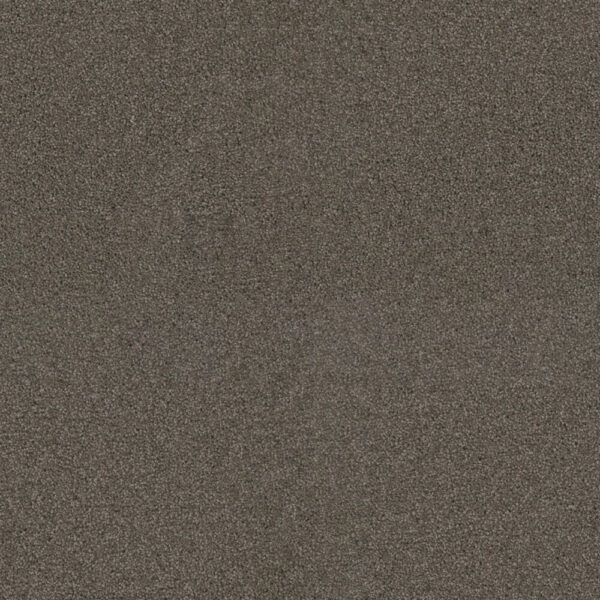 Dreamweaver Carpet Exceptional II Riverbed Carpet 7404_955