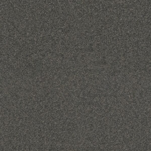 Dreamweaver Carpet Exceptional II Electron Carpet 7404_972