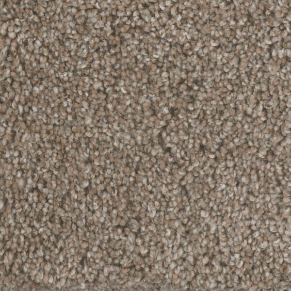 Dreamweaver Carpet Jackson Hole II Prairie Sun Carpet 7560_113