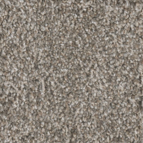 Dreamweaver Carpet Jackson Hole I Edgewood Carpet 7543_138