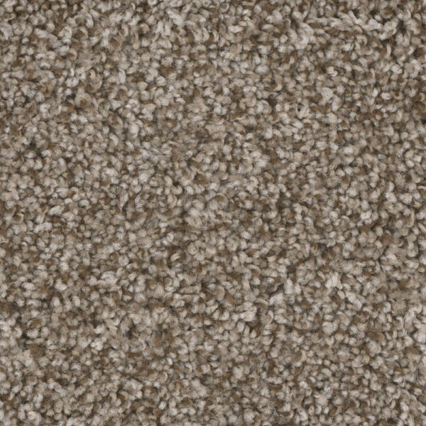 Dreamweaver Carpet Jackson Hole I Walnut Ridge Carpet 7543_163