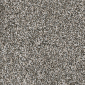 Dreamweaver Carpet Jackson Hole II Quiet Breeze Carpet 7560_411