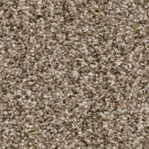 Dreamweaver Carpet Jackson Hole II Pebble Carpet 7560_637