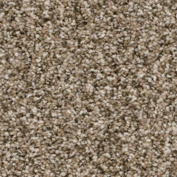 Dreamweaver Carpet Jackson Hole II Pebble Carpet 7560_637