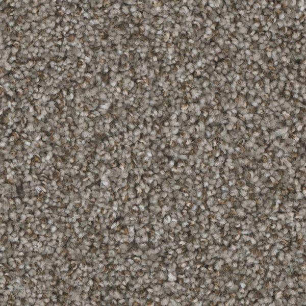 Dreamweaver Carpet Jackson Hole II Bay Dunes Carpet 7560_916