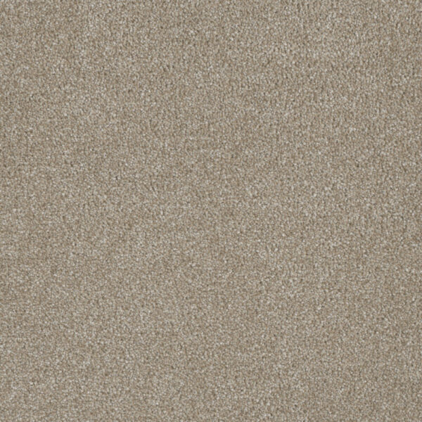 Dreamweaver Carpet Luxor I Cameo Carpet 7740_174