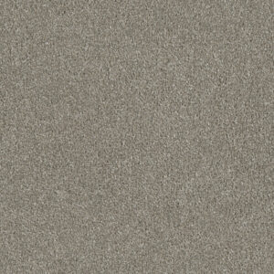 Dreamweaver Carpet Luxor I Jet Stream Carpet 7740_200