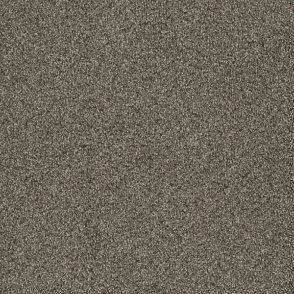 Dreamweaver Carpet Luxor I Monaco Carpet 7740_244