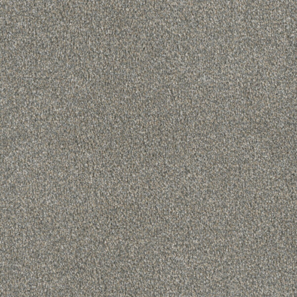 Dreamweaver Carpet Luxor I Sandy Trail Carpet 7740_495