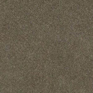 Dreamweaver Carpet Luxor I Cinnamon Tea Carpet 7740_528