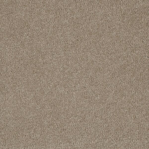 Dreamweaver Carpet Luxor I Flax Beige Carpet 7740_535