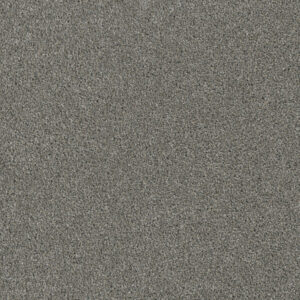 Dreamweaver Carpet Luxor I Looking Glass Carpet 7740_570