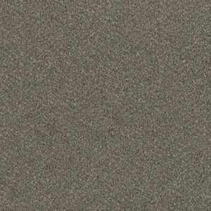 Dreamweaver Carpet Luxor I Smooth Sailing Carpet 7740_641