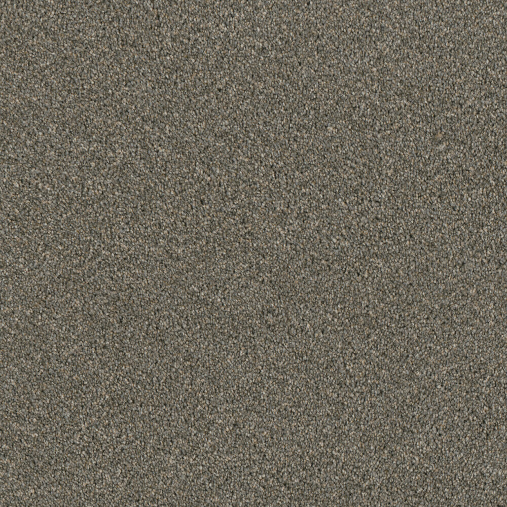 Dreamweaver Carpet Luxor II Smooth Sailing Carpet 7750_641