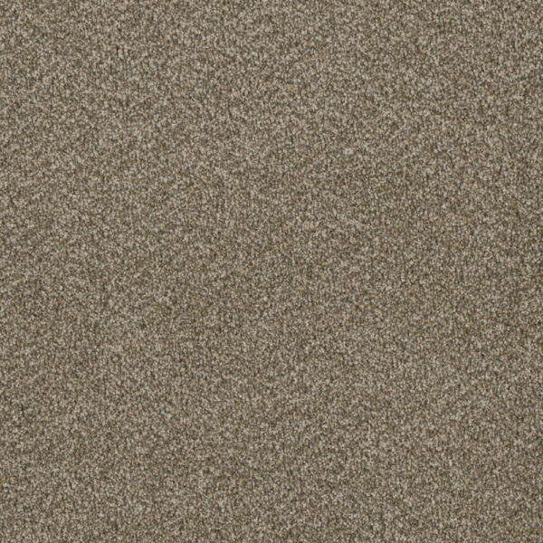 Dreamweaver Carpet Luxor III Sienna Sand Carpet 7760_680