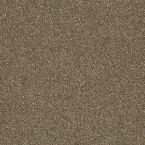 Dreamweaver Carpet Luxor I Quail Carpet 7740_725