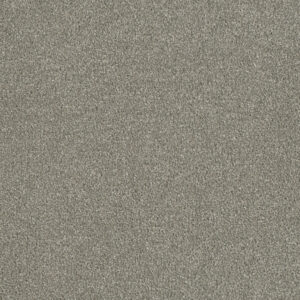 Dreamweaver Carpet Luxor I Dove Carpet 7740_800