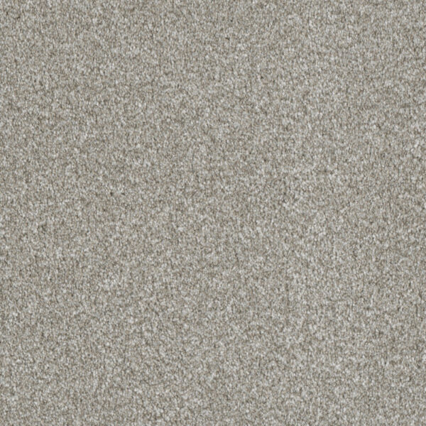 Dreamweaver Carpet Luxor I Winterbrooke Carpet 7740_898