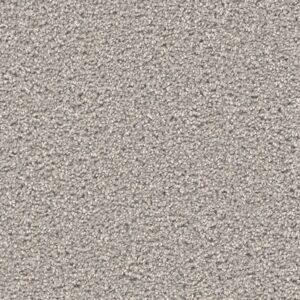 Dream Weaver - Exceptional II - Silver Birch