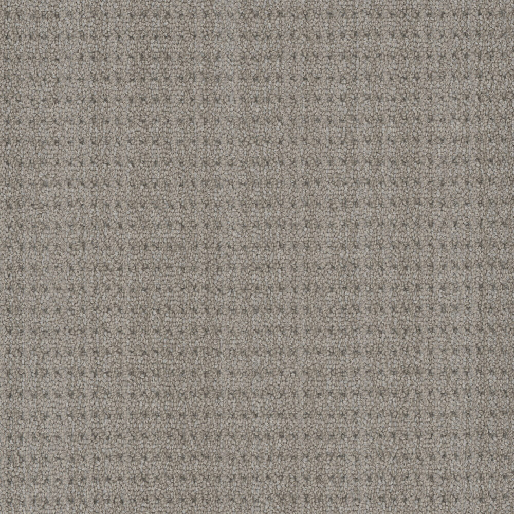 Dreamweaver Carpet DW Select Chelsea Brent Carpet 8168_5745