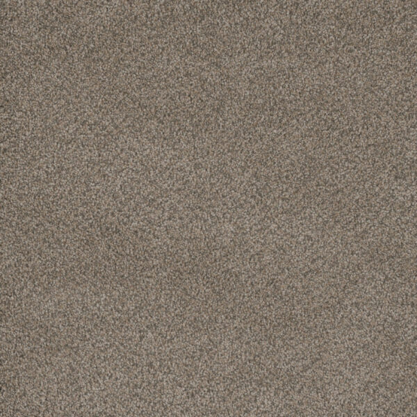 Dreamweaver Carpet Monte Carlo II Umber Carpet 7200_6004