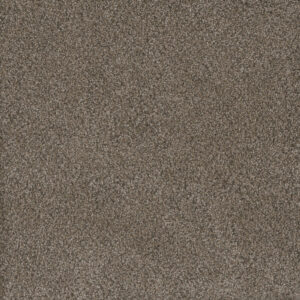Dreamweaver Carpet Monte Carlo II Fawn Carpet 7200_6005