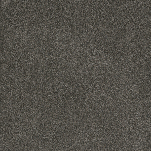 Dreamweaver Carpet Monte Carlo II Burnt Amber Carpet 7200_6007