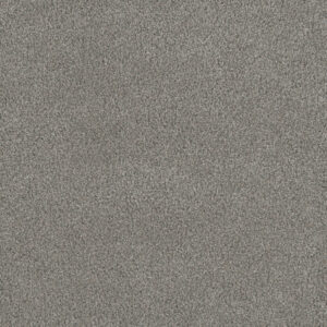 Dreamweaver Carpet Monte Carlo II Winterscape Carpet 7200_6040