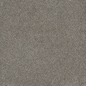 Dreamweaver Carpet Monte Carlo II Dogwood Carpet 7200_6077