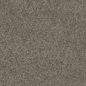 Dreamweaver Carpet Hollywood Smoky Quartz Carpet 8232_418