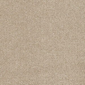 Dreamweaver Carpet Hollywood Cashmere Carpet 8232_580