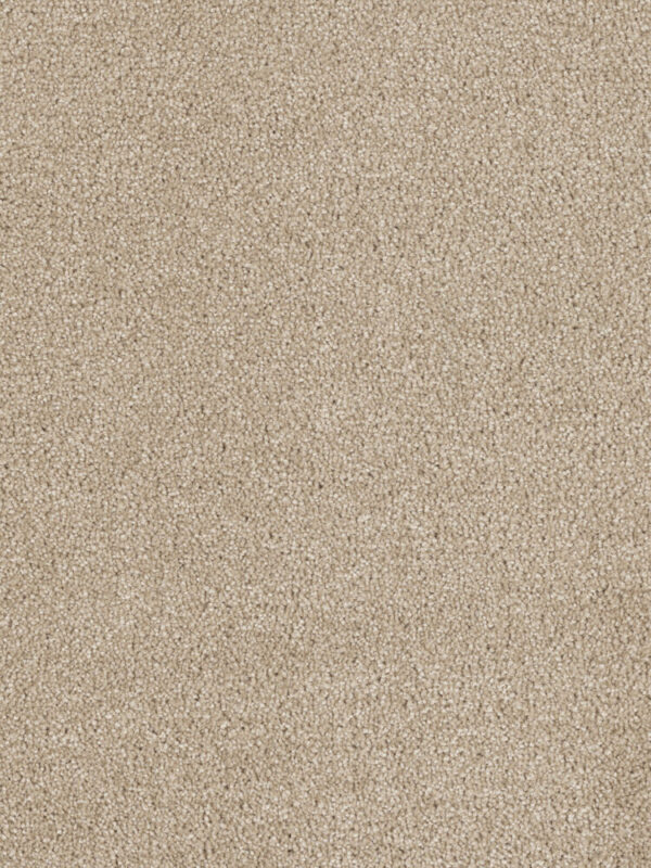 Dreamweaver Carpet Hollywood Cashmere Carpet 8232_580