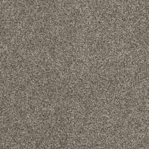 Dreamweaver Carpet Hollywood Baltic Birch Carpet 8232_622