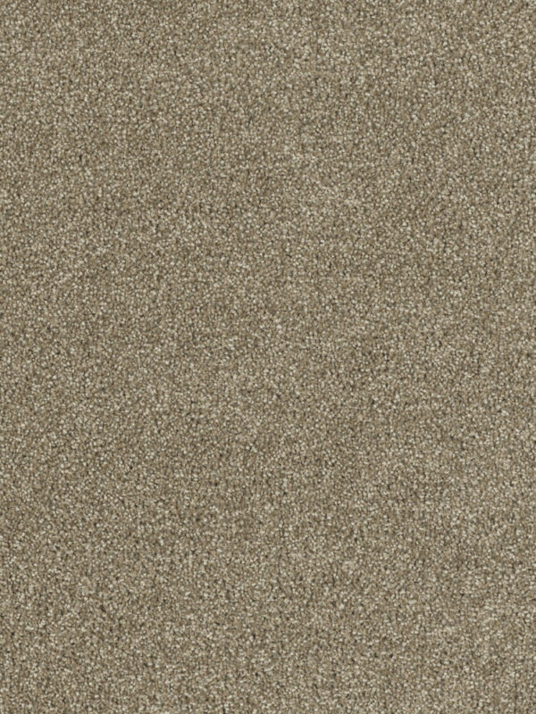 Dreamweaver Carpet Hollywood Sienna Sand Carpet 8232_680
