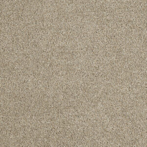 Dreamweaver Carpet Hollywood Iceberg Carpet 8232_733