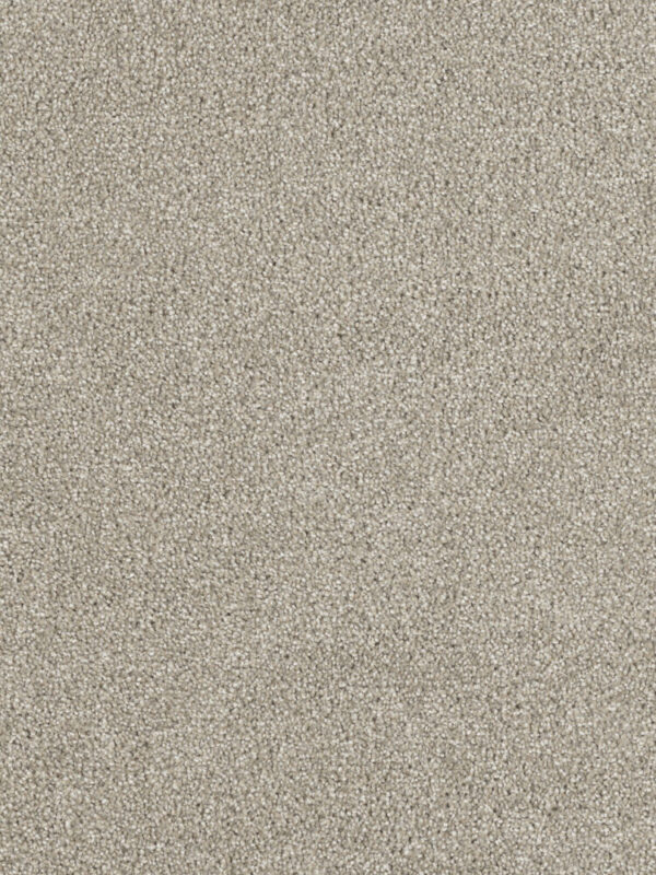 Dreamweaver Carpet Hollywood Orion Carpet 8232_780