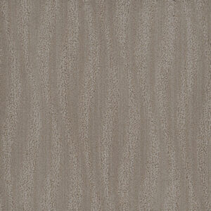 Dreamweaver Carpet DW Select Mojave River Lagan Carpet 8250_3912