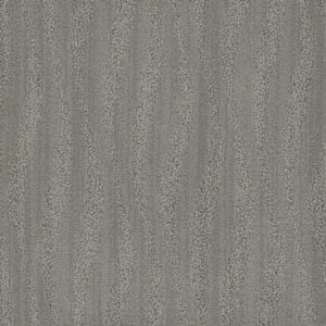 Dreamweaver Carpet DW Select Mojave Tungsten Carpet 8250_3922