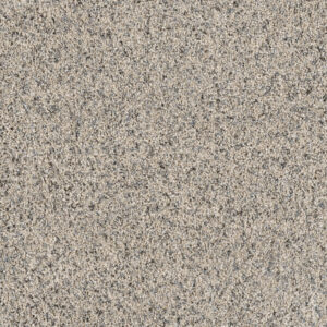 Dreamweaver Carpet Parade Daydream Carpet 8265_231