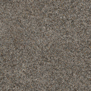 Dreamweaver Carpet Parade Mountain View Carpet 8265_627