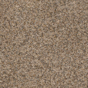 Dreamweaver Carpet Parade Nature Jewels Carpet 8265_772