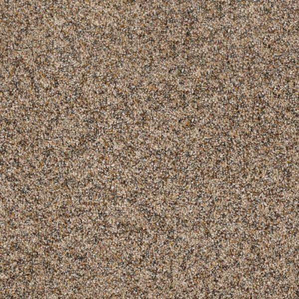 Dreamweaver Carpet Parade Nature Jewels Carpet 8265_772