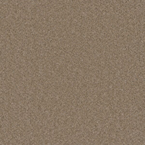 Dreamweaver Carpet Metropolitan II Straw Carpet 8400_551