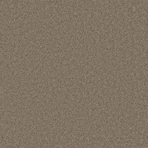 Dreamweaver Carpet Metropolitan II Mocha Carpet 8400_775