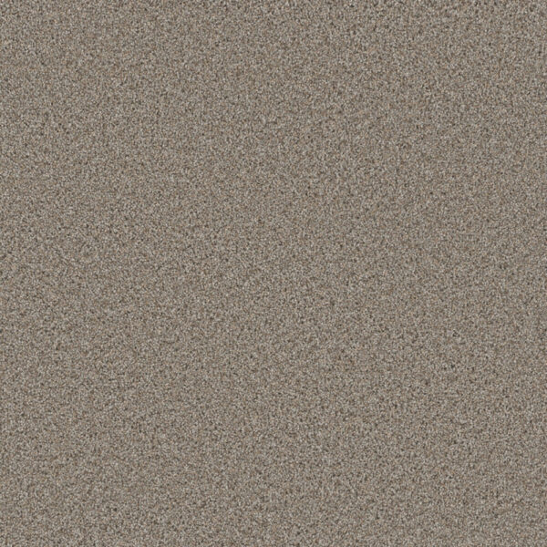 Dreamweaver Carpet Metropolitan II Iron Frost Carpet 8400_815